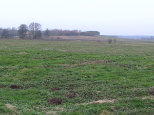 2012. Wspólnota Pastwiskowa -DOlina Świsłoczy, dalej zarośla  nieistniejącej wsi JAMASZE.