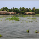 Indie backwaters 002