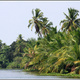 Indie backwaters 007