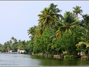 Indie backwaters 019