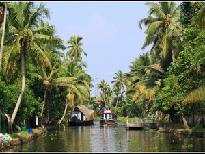 Indie backwaters 021