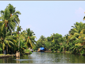 Indie backwaters 025