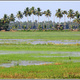 Indie backwaters 027