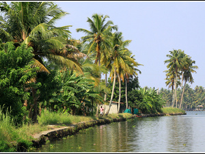 Indie backwaters 029