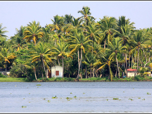 Indie backwaters 030