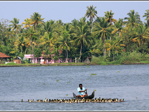 Indie backwaters 031