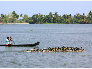 Indie backwaters 033