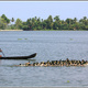 Indie backwaters 033