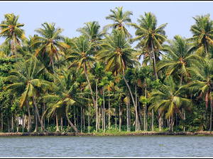 Indie backwaters 034