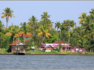 Indie backwaters 035