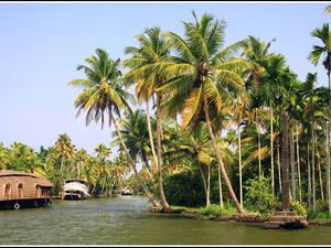 Indie backwaters 036