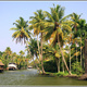 Indie backwaters 036