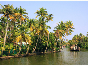 Indie backwaters 038