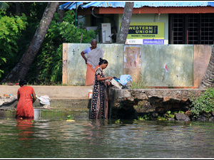 Indie backwaters 043