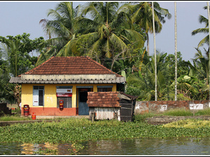 Indie backwaters 046