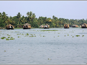 Indie backwaters 052