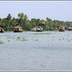 Indie backwaters 052