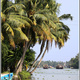 Indie backwaters 053