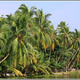 Indie backwaters 054