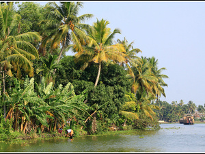 Indie backwaters 056