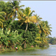 Indie backwaters 056