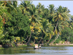 Indie backwaters 058