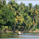 Indie backwaters 058