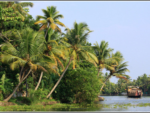 Indie backwaters 063