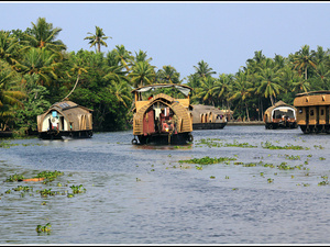 Indie backwaters 066