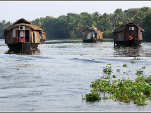 Indie backwaters 076