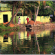 Indie backwaters 104