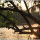 Indie backwaters 119
