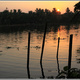 Indie backwaters 127