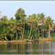 Indie backwaters 132