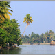 Indie backwaters 136