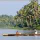 Indie backwaters 139