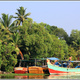 Indie backwaters 141