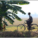 Indie backwaters 151