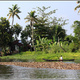 Indie backwaters 152