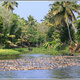 Indie backwaters 154