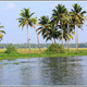 Indie backwaters 156
