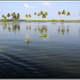 Indie backwaters 160
