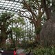 Gardens By The Bay - Flower Dome