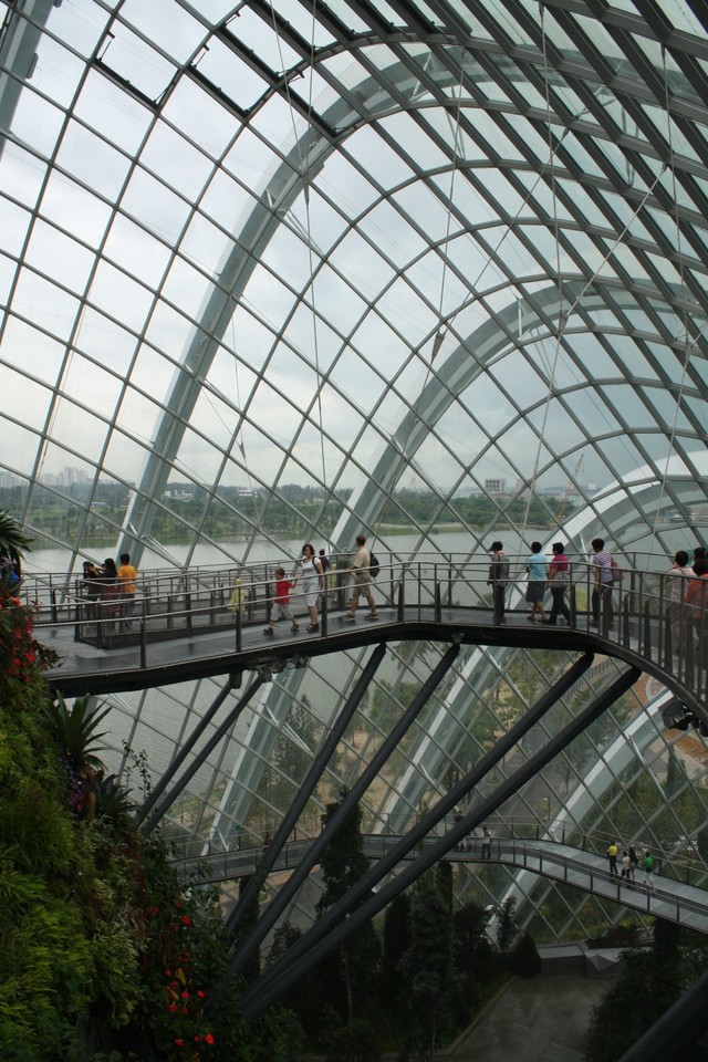 Gardens By The Bay - Cloud Forrest