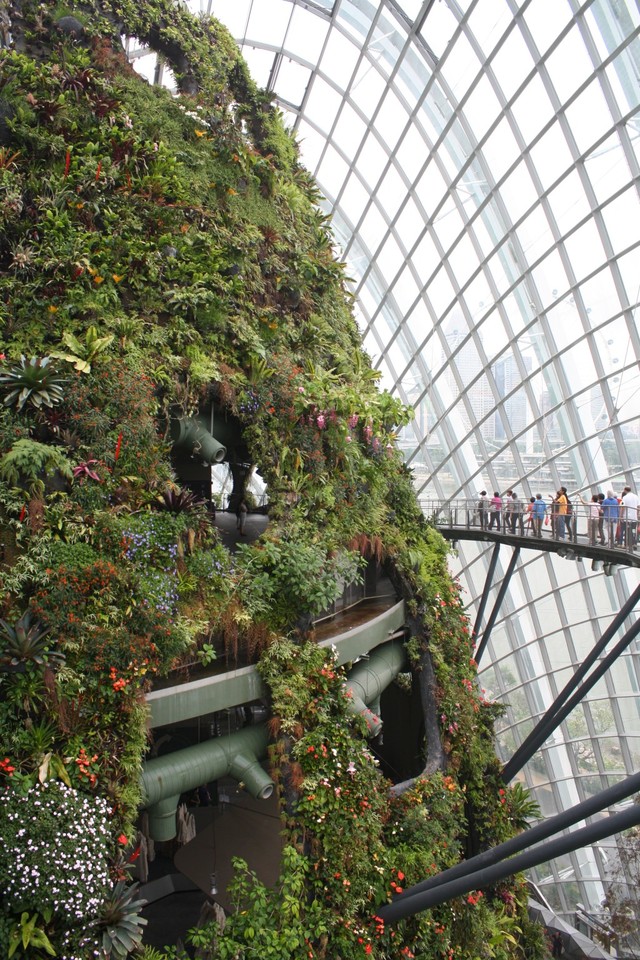 Gardens By The Bay - Cloud Forrest