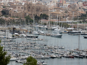 Port jachtowy w Palma de Mallorca