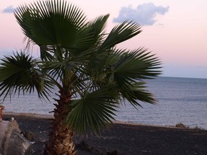 Puerto del Carmen - promenada spacerowa