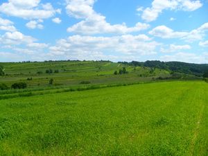 Pola pod Zwierzyńcem