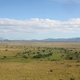 Kidepo Valley National Park