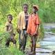 Chłopcy z bagien Bigodi